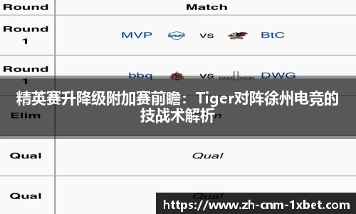 精英赛升降级附加赛前瞻：Tiger对阵徐州电竞的技战术解析